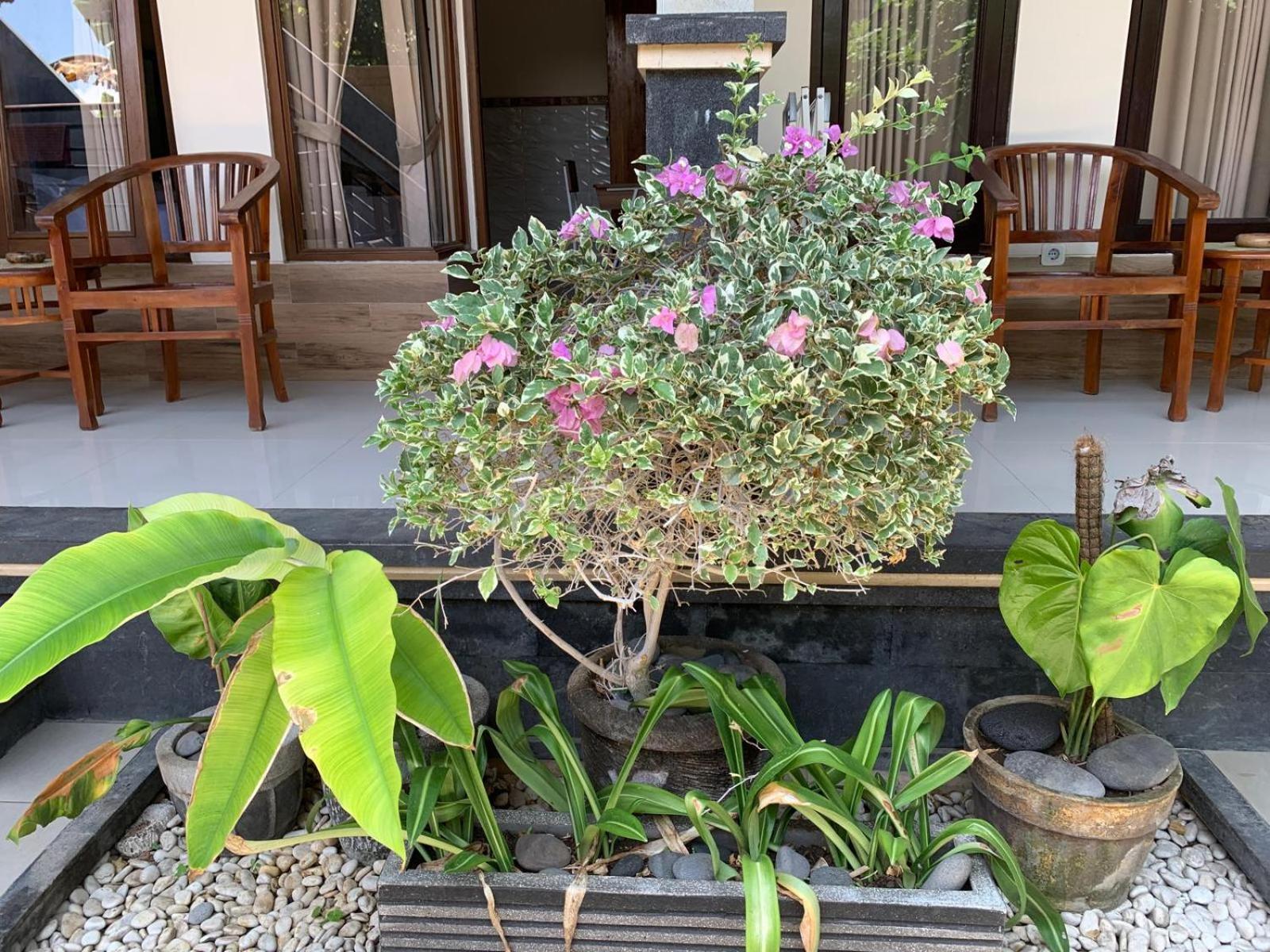 Jepun Inn Padangbai  Exterior foto