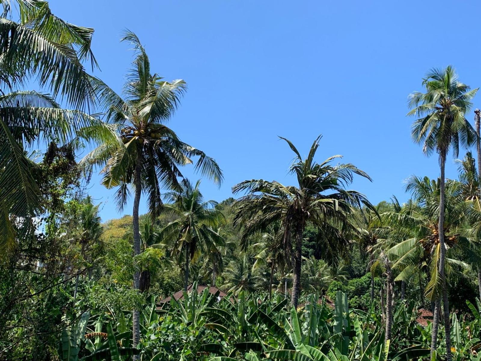 Jepun Inn Padangbai  Exterior foto